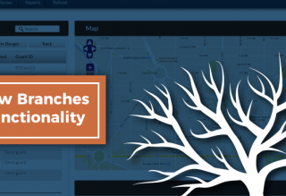 branches feature